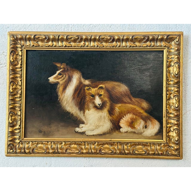This charming vintage oil painting depicts a pair of elegant Shetland Sheepdogs resting against a dark background,...