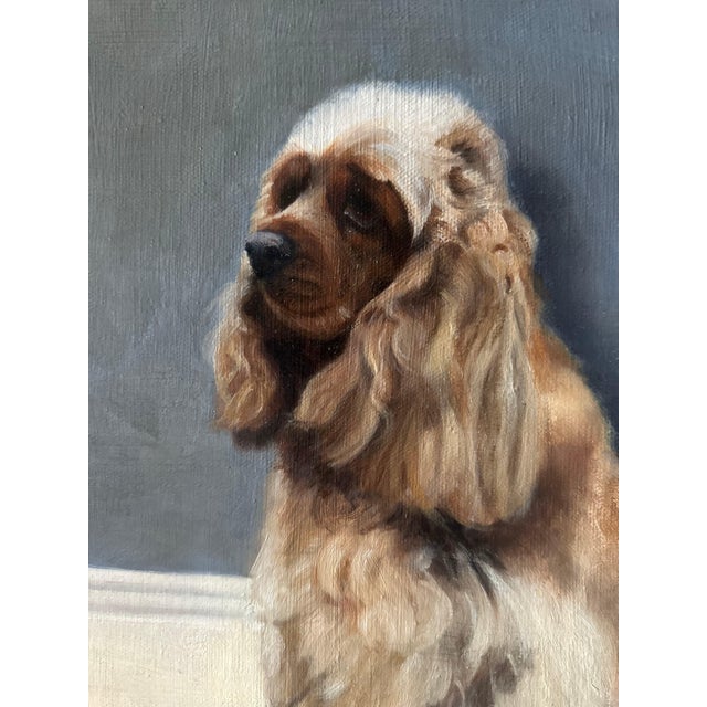 1960s Oil Portrait of a Spaniel in Gilt Frame - 20th Century For Sale - Image 5 of 6