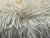 Skyline Furniture Faux Fur + Acrylic Legs Bench For Sale - Image 10 of 12
