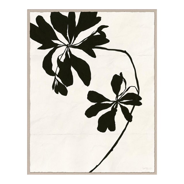 Mediterranean Leaf (var. 2) by Susan Hable, Acrylic Box For Sale