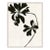 Mediterranean Leaf (var. 2) by Susan Hable, Acrylic Box For Sale