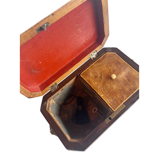 English Burr Yew Tea Caddy With Complete Interior For Sale In Dallas - Image 6 of 6