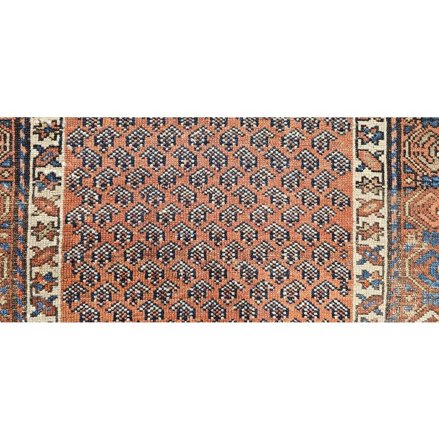 Antique Kurdish Rug, Hand-Knotted Wool, All-over Paisley Pattern, Rust & Navy, 3x6 For Sale - Image 16 of 17