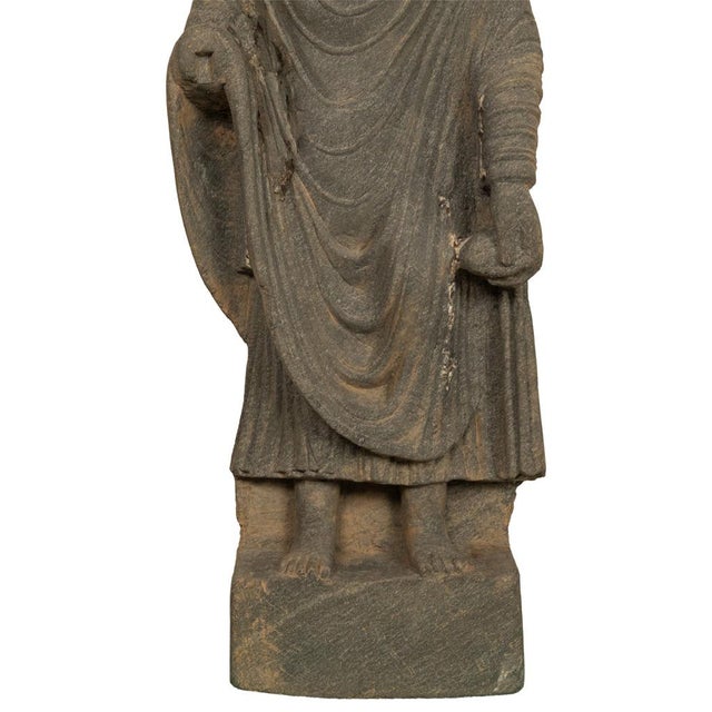 Ancient Indian Carved Stone Gandharan Shakyamuni Buddha Statue 2nd Century A.D. For Sale - Image 15 of 16
