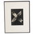 Karl Blossfeldt, Natural Grace, 1942, Photogravure, Framed For Sale - Image 13 of 13