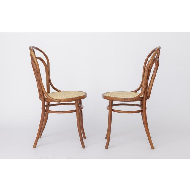 Set of 2 Bentwood “Angel” Chairs, 1940s–1950s Unknown manufacturer (not marked) A beautiful pair of bentwood chairs, often...