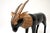 Wood Antique Wood Parcel Gilt Sculpture of an Ibex, 1900 For Sale - Image 7 of 11