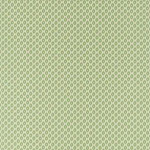 Sanderson Meru Fabric in Nettle