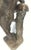 Large 34" Antique Grand Tour Mythological Roman Bronze Sculpture of Pan or a Youthful Faun For Sale - Image 11 of 18