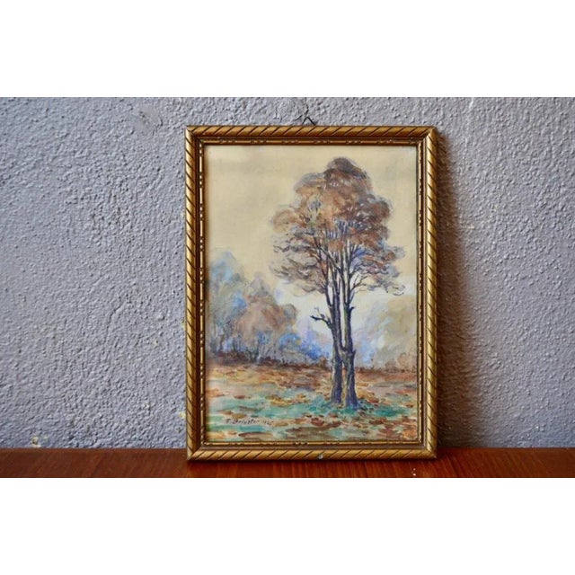 Paper F. Brinster, Forest Landscape, 1925, Watercolor, Framed For Sale - Image 7 of 7