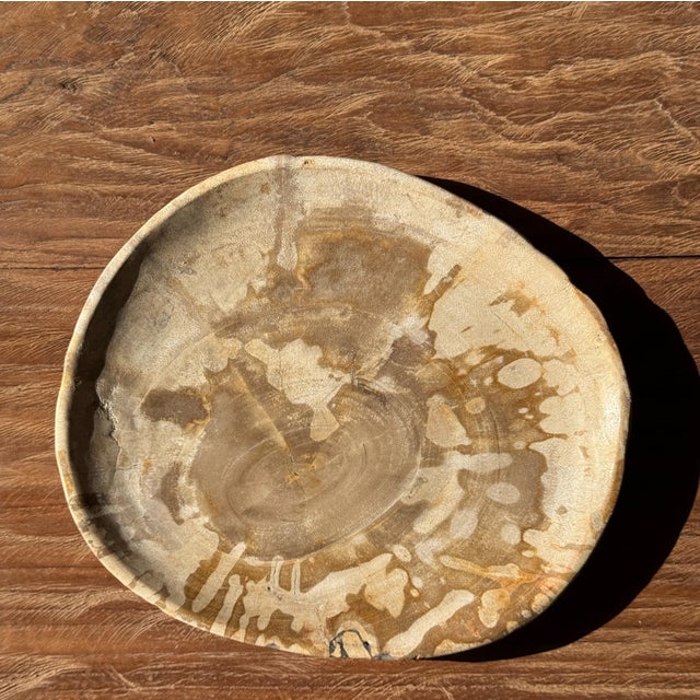 Small Trinket Tray in Speckled Beige Petrified Wood For Sale - Image 18 of 18