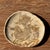 Small Trinket Tray in Speckled Beige Petrified Wood For Sale - Image 18 of 18