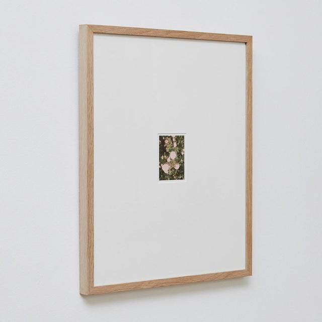 The Rose Garden Nº 32 Print by David Urbano, 2018 For Sale - Image 4 of 9