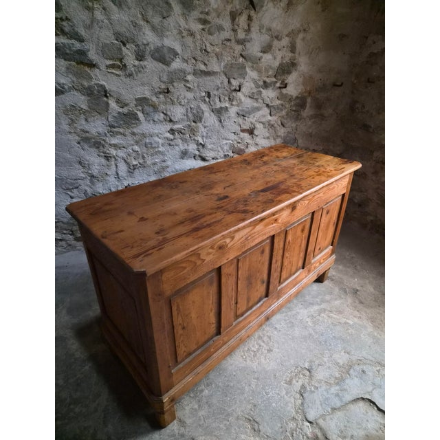 Brown Antique Shop Counter with 12 Drawers, 1890s For Sale - Image 8 of 18