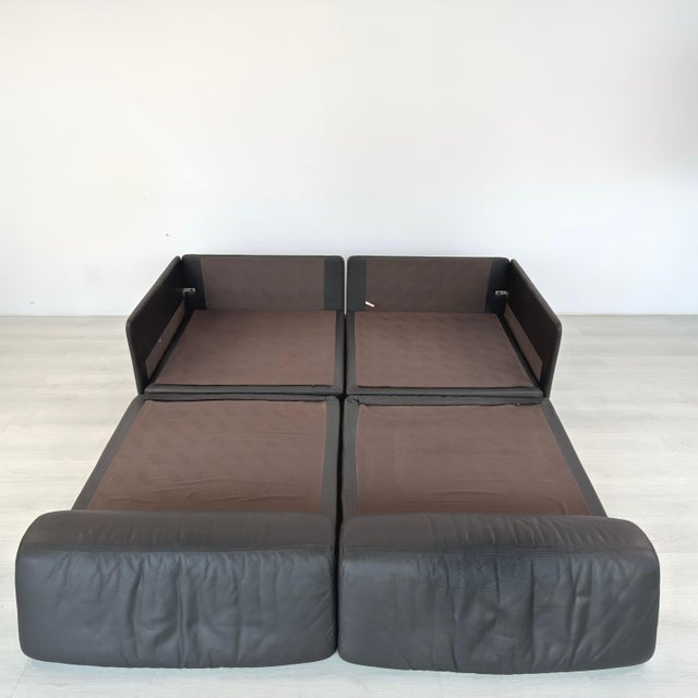 Animal Skin De Sede Ds 76 Modular Sofa For Sale - Image 7 of 18