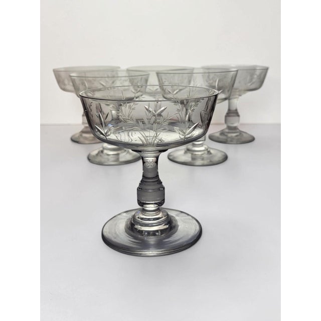 Crystal Champagne Coupes with Engraved Wheat Ears, 1950s, Set of 6 For Sale - Image 3 of 8