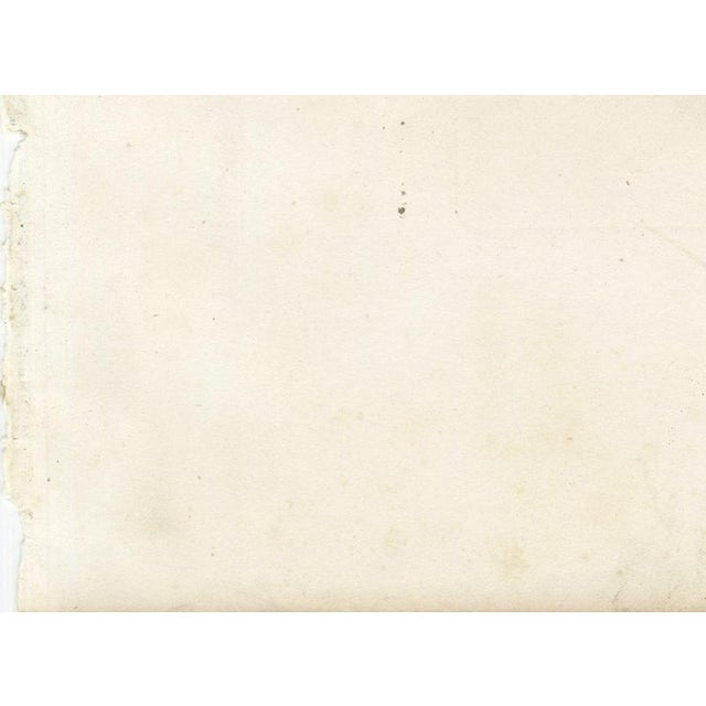 Oudet After Melin, Norman Cow, 1873, Paper For Sale - Image 9 of 12