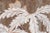 Large Scale Framed Chinoiserie Wallpaper Panel. Rich botanical detail, finely observed wildlife, and a sophisticated color...