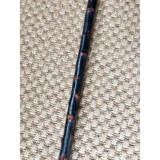 Mid 20th Century Vintage Knobby Burlwood Walking Cane Stick For Sale - Image 5 of 6