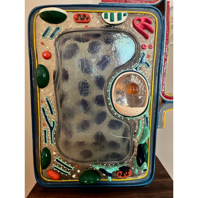 STACO DELUXE PLANT CELL MODEL Fiberglass model of a plant cell for educational purposes. 16 1/2 x 12 x 8 1/2 in. Property...