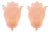 Pink Murano Glass Leaf Wall Sconces by Simoeng, Set of 2 For Sale