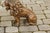 Pair of Italian 1880s Small Walnut Hand Carved Lion Sculptures with Dark Patina For Sale - Image 4 of 12