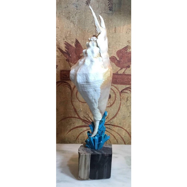 Exquisite Joseph Malekan Handcrafted Natural Element Sculptures For Sale - Image 12 of 15