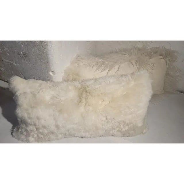 Early 20th Century Two Sheep Skin Fur Pillows For Sale In Los Angeles - Image 6 of 6