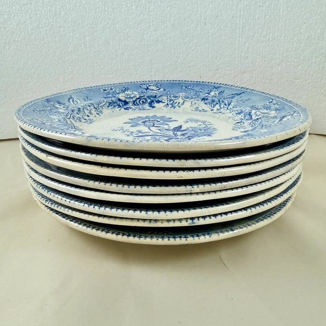 Off-white Elkin & Newbon English Botanical Beauties Dinner Plates, Set of Eight For Sale - Image 8 of 15