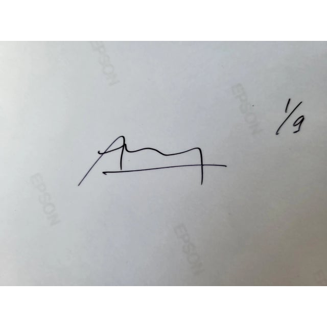 Apesteguy, Mechanical Energy Turbulence Francis Apesteguy, 2000s, Photographic Paper For Sale - Image 5 of 7