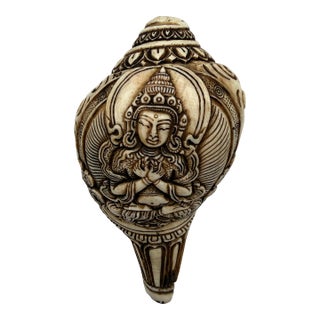 Hand-Carved Shakyamuni Buddha Conch Shell For Sale