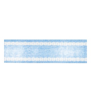 Schumacher Sullivan Tape Narrow Indoor/Outdoor In Blue For Sale
