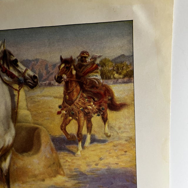 American 1926 Arabian Horse Print For Sale - Image 3 of 3