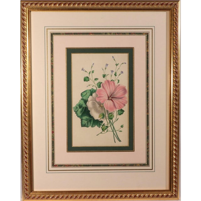 Mid 19th Century Lessons From the Vegetable World: Robert Mackenzie Stark Botanical Prints 1858 For Sale - Image 5 of 13