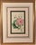 Mid 19th Century Lessons From the Vegetable World: Robert Mackenzie Stark Botanical Prints 1858 For Sale - Image 5 of 13