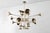 Large Botti Collection 24-Light Chandelier from Delightfull, 2000s For Sale - Image 3 of 9