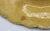 Green C. 1880-1900 London Majolica Begonia Leaf Plate by Joseph Roth For Sale - Image 8 of 8