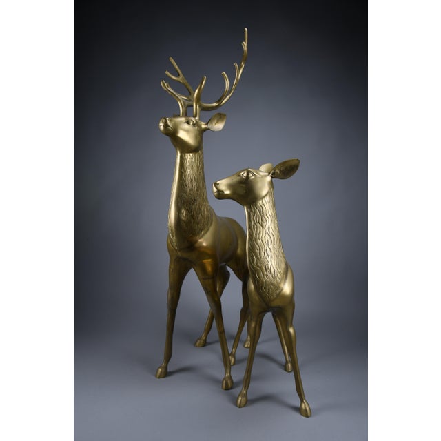 Hollywood Regency Brass Deer attributed to Maison Jansen, 1970s For Sale - Image 17 of 18