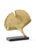 Wildwood Ginkgo Sculpture - Gold For Sale In Raleigh - Image 6 of 6