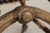Theodore Alexander Antler Chair W. Animal Hide For Sale - Image 12 of 15