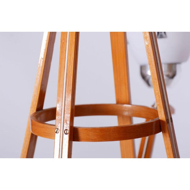 Mid-Century Chandelier in Beech and Glass from Dřevo Humpolec, Czech, 1960s For Sale - Image 6 of 13