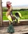 Multicolored Murano Glass Rooster Sculpture, 1950s For Sale - Image 3 of 14
