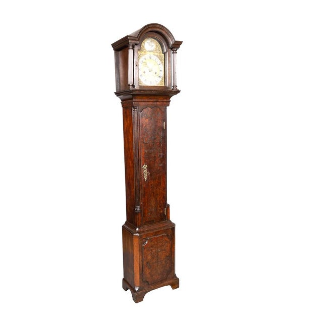 With arched bonnet with glazed door enclosing a brass clock face. Waisted burl walnut pendulum door and conforming base...