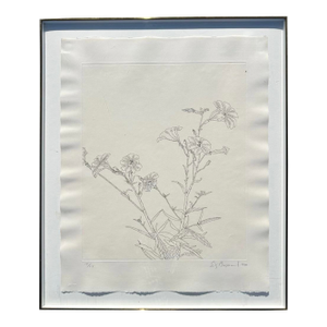 Ed Baynard (American, 1940–2016) Floral, Flowers Etching Framed
