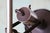1960s Mid Century Modern Gerald Thurston for Lightolier Directional Floor Lamp For Sale - Image 10 of 11