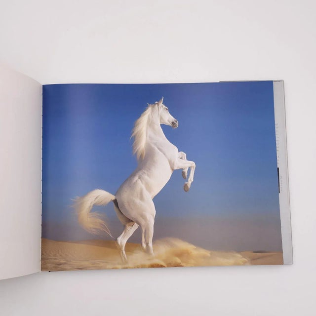 Flach, "Equus", First Edition 2008 For Sale In San Francisco - Image 6 of 8