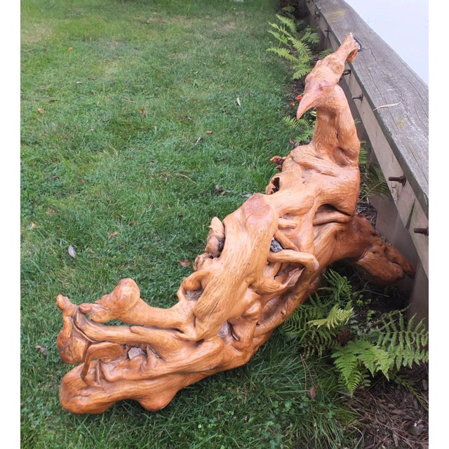 Brown Rustic Bird Like Natural Tree Root Sculpture For Sale - Image 8 of 8