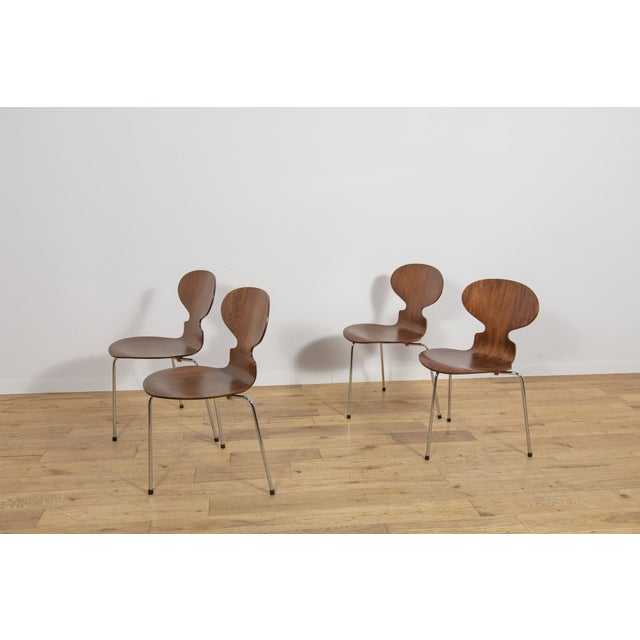 Mid-Century Modern Mid-Century Model 3101 Ant Dining Chairs by Arne Jacobsen for Fritz Hansen, Denmark, 1970s, Set of 4 For Sale - Image 3 of 18