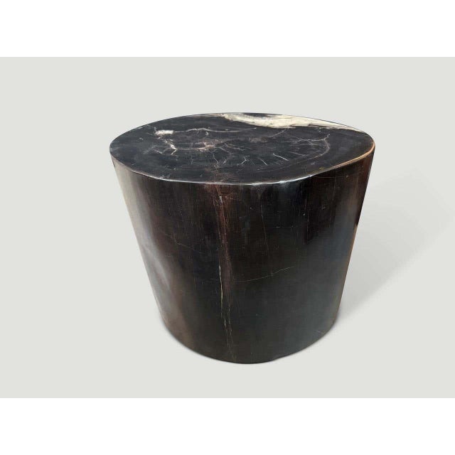 "Beautiful tones on this high quality ancient petrified wood large side table. It’s fascinating how Mother Nature produces...