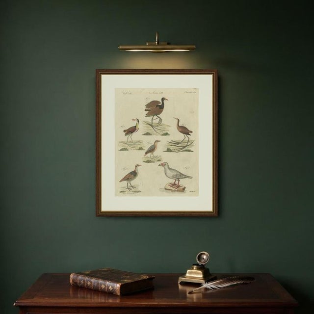 Bertuch, Jacanas and Wading Birds with Long Toes, 1805, Print For Sale - Image 10 of 12